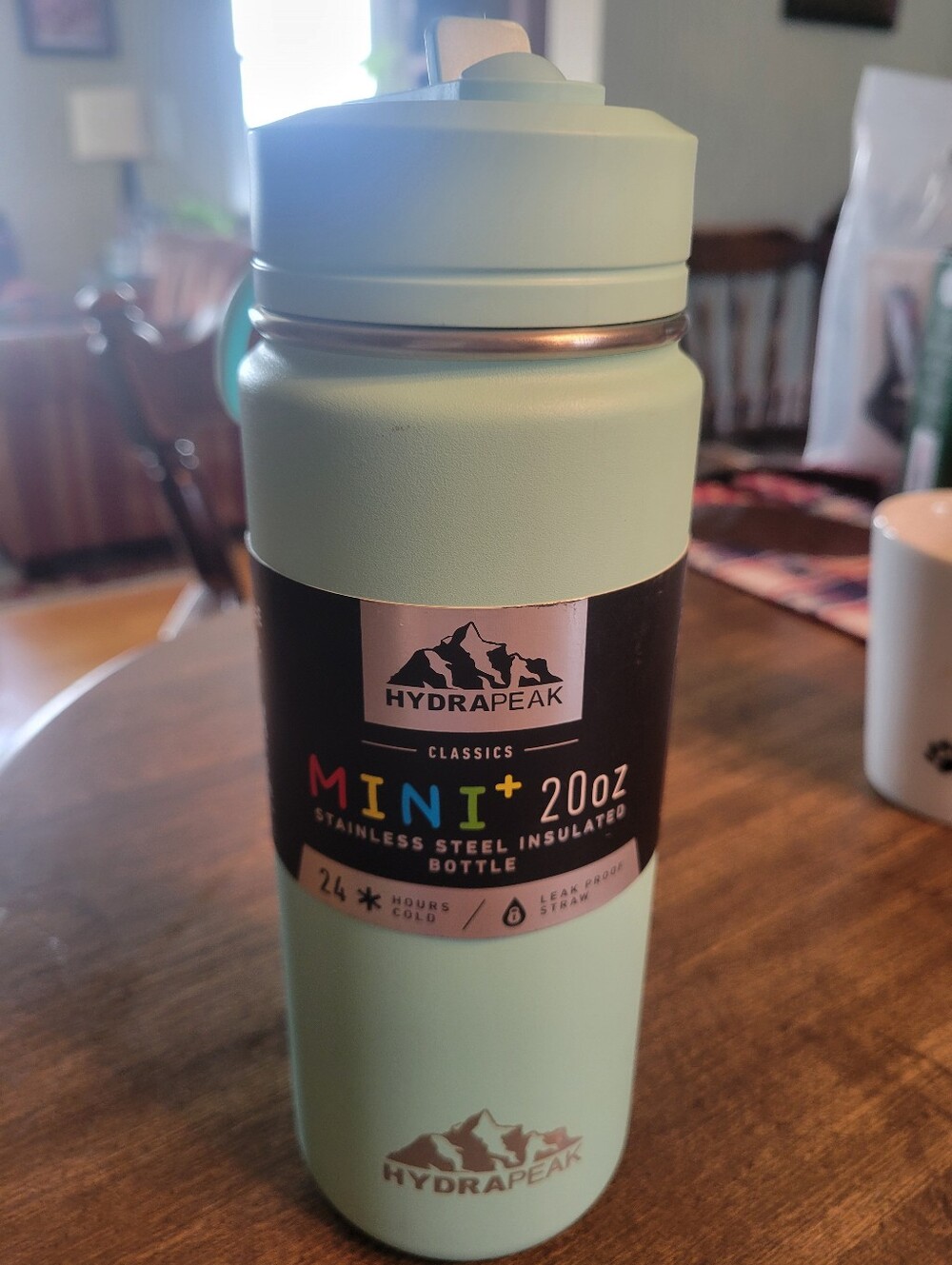 Mini+ 20oz Insulated Water Bottle in Mint
